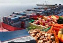 Non-Oil Exports: Local Investors Lose Out on ₦4.8 Trillion Boom